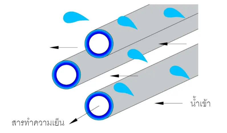 การถ่ายโอนความร้อน heat transfer ทิ้ว
